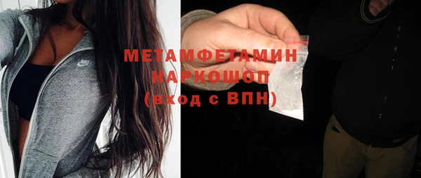 прущие грибы Аркадак