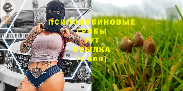 амф Арсеньев