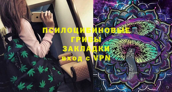 амф Арсеньев