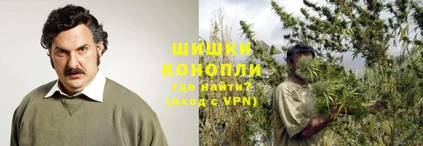 гидра Армянск