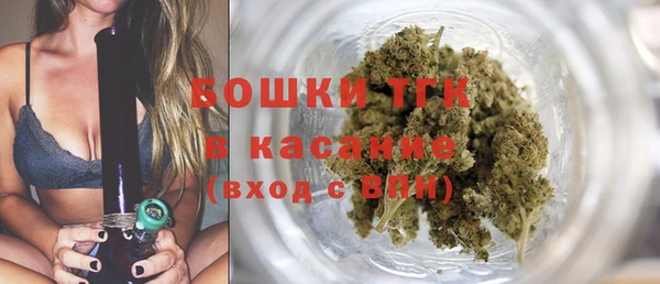 прущие грибы Аркадак