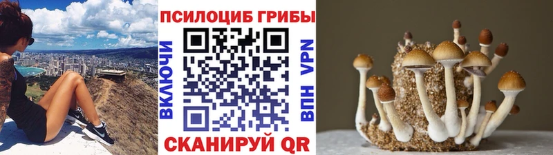 Псилоцибиновые грибы Psilocybine cubensis  гидра ССЫЛКА  Изобильный 